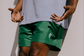 Manor  "Saguaro Summer Nylon Short" Mens - Green