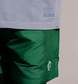Manor  "Saguaro Summer Nylon Short" Mens - Green