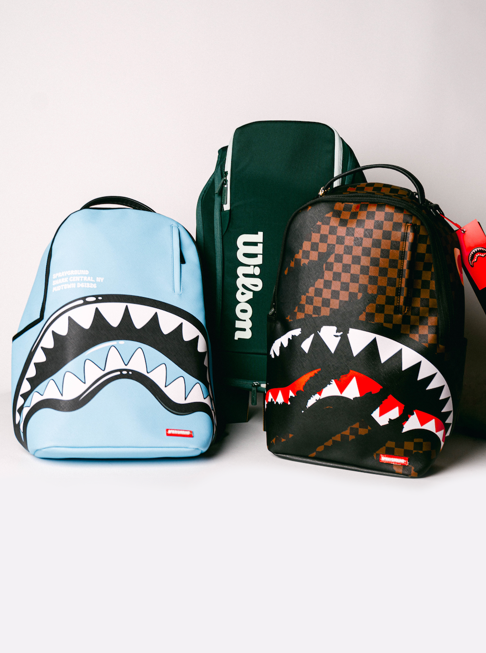 BaGS